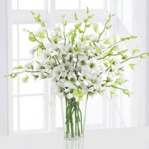 6 White Orchids in a Vase